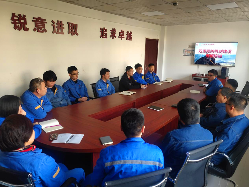 咸阳公司开展双重预防体系培训配图1.png
