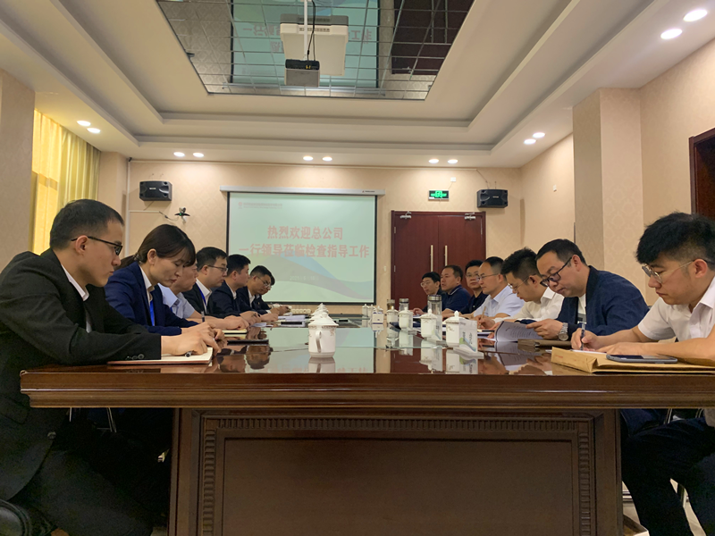 新型能源公司副总经理黄岗一行莅临神木分公司检查指导环保工作图1.png