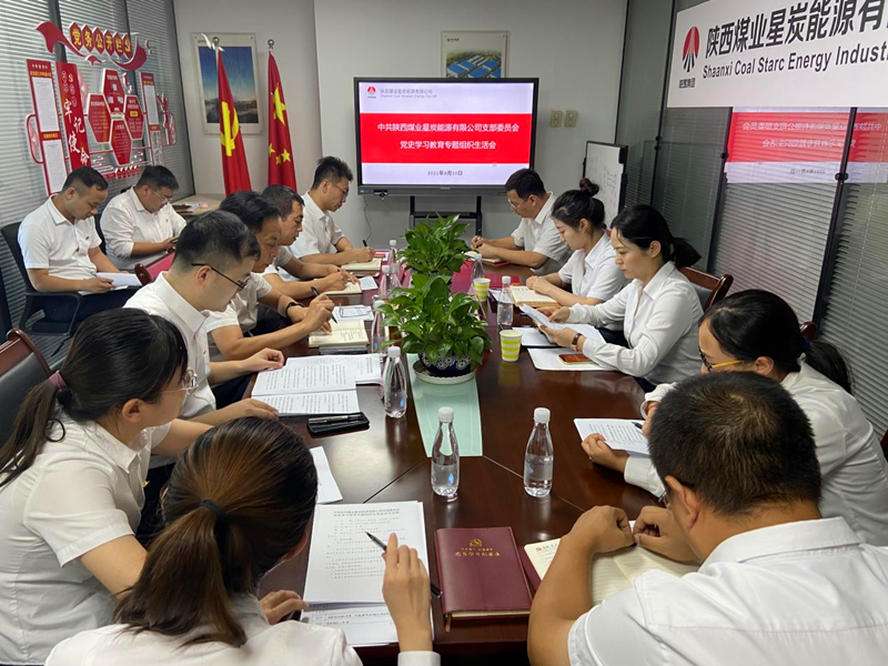 星炭公司党支部召开党史学习教育专题组织生活会-配图.png