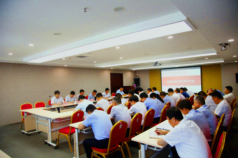 风险防控治理专项工作会.png