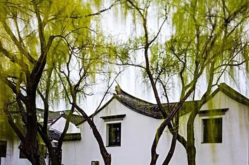 图片 1.png