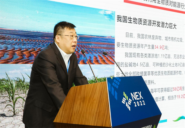 徐国强参加第十六届中国新能源国际博览会暨高峰论坛并作主题演讲1.png