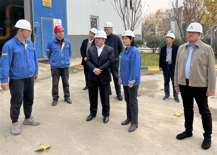 公司党委副书记、总经理徐国强一行到咸阳公司检查指导工作.png