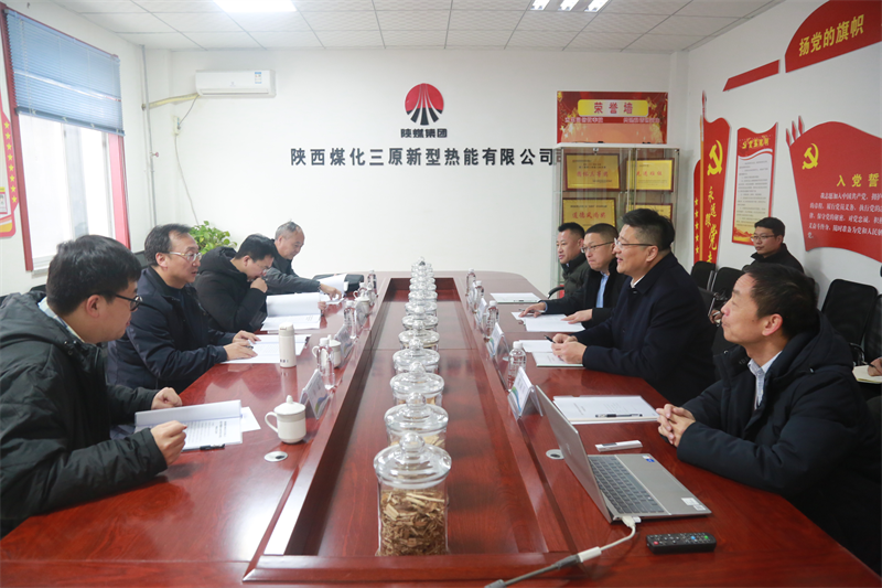 省国资委、省财政厅领导莅临新型能源三原公司调研指导工作.png
