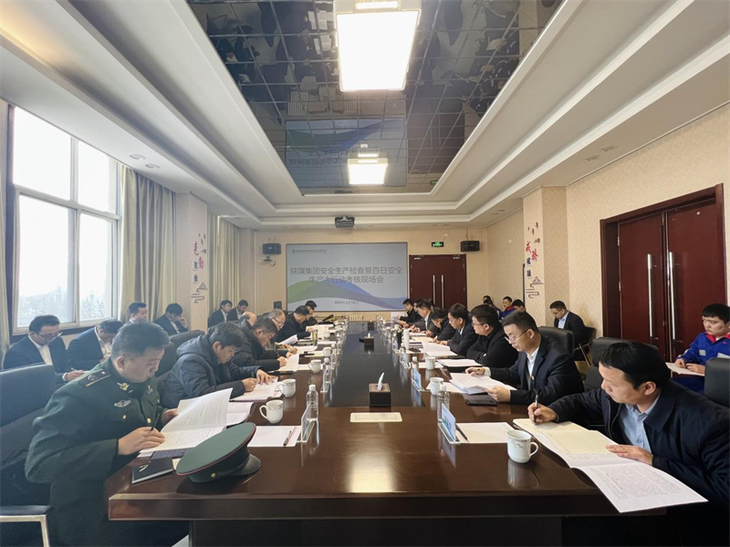 陕煤集团检查组到新型能源公司开展“春节”“两会”安全生产检查、百日安全生产大行动总结考核暨消防安全督导检查.png