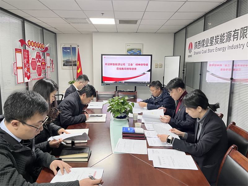 新型能源公司“三会”精神工作督导5.png