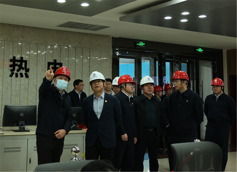 公司副总经理黄岗带队到龙安热电参观调研.png