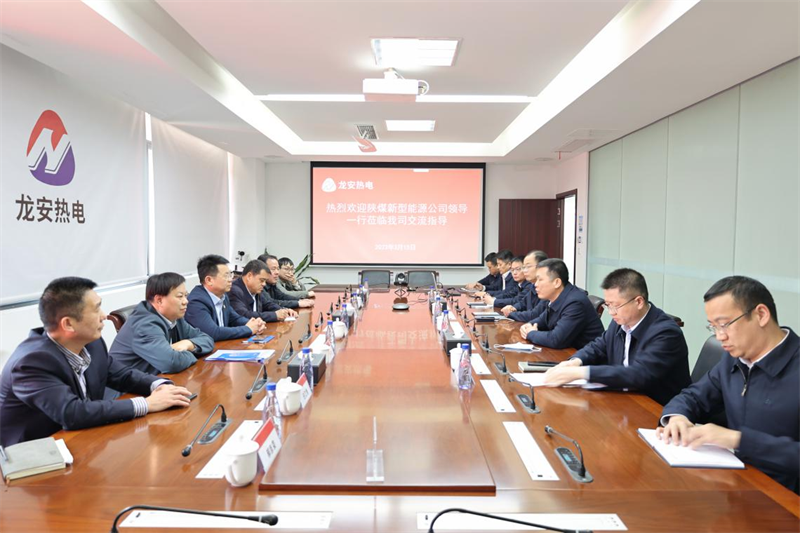 公司副总经理黄岗带队到龙安热电参观调研1.png