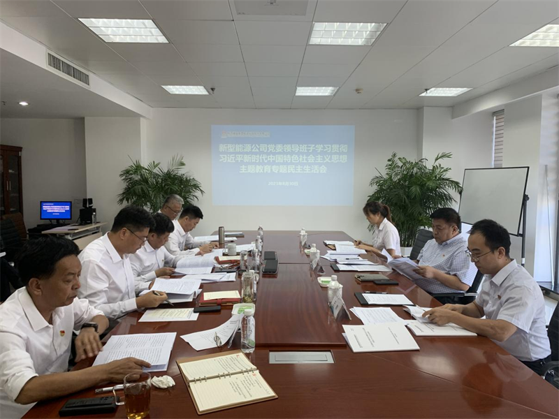 新型能源公司党委召开学习贯彻习近平新时代中国特色社会主义思想主题教育专题民主生活会1.png
