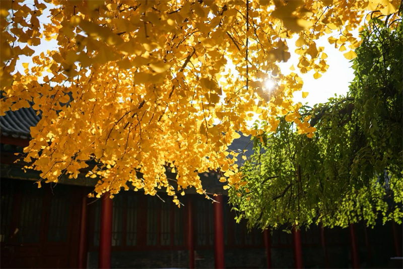 微信图片_20231130154024.png