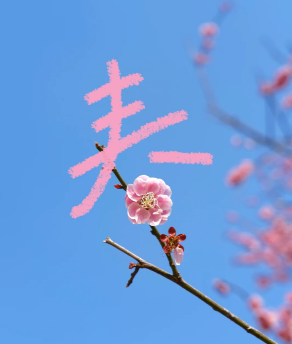 图片9.png