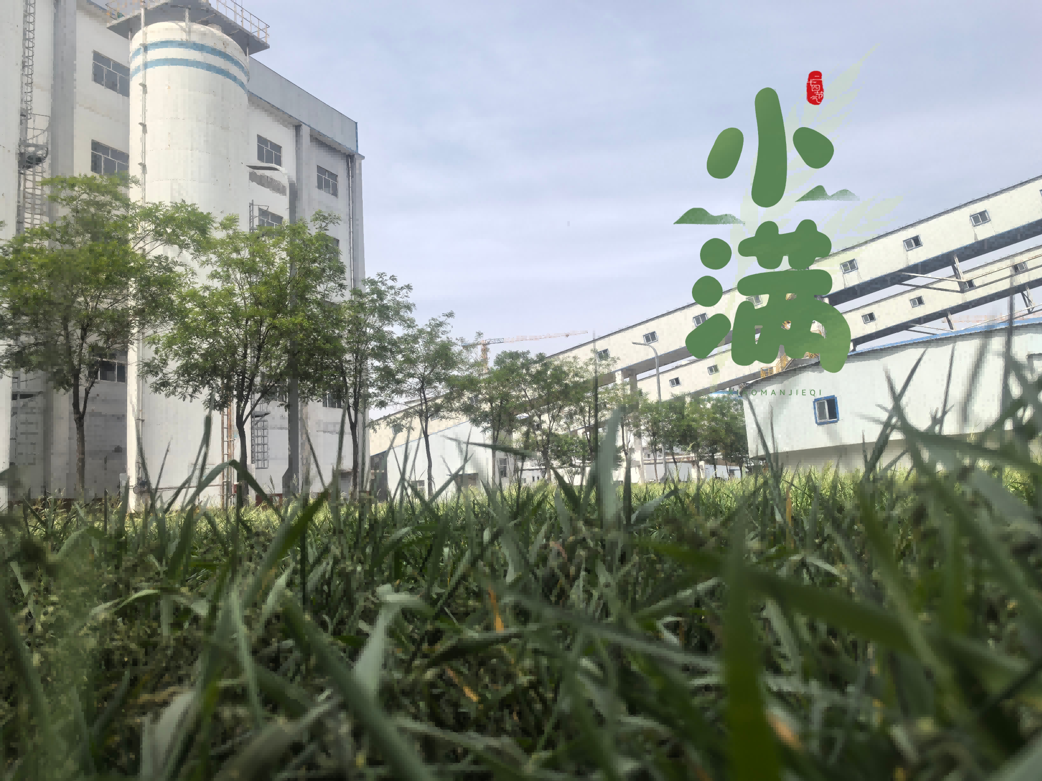 5.21-图片4(1).png